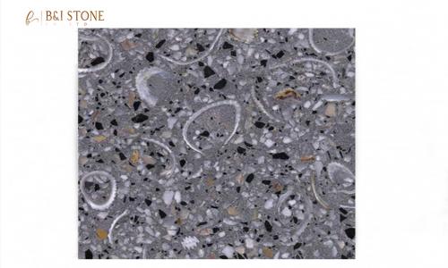 Oyster Cape Terrazzo